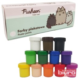 FARBY PLAKATOWE 12KOL 20ML PUSHEEN