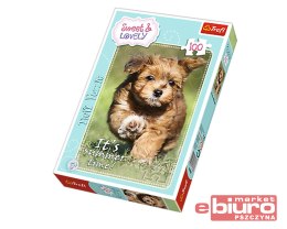 PUZZLE 100 SWEET&LOVELY ZABAWA TREFL 16265