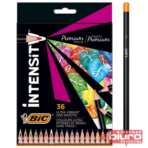 KREDKI INTENSITY WOOD 36 KOL. BIC