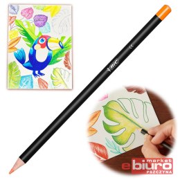 KREDKI INTENSITY WOOD 36 KOL. BIC